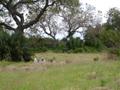 DSCN3473.jpg