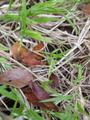 DSCN3496.jpg