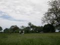 DSCN3501.jpg