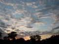 DSCN3509.jpg