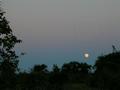 DSCN3555.jpg