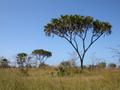 DSCN3557.jpg