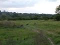 DSCN3573.jpg