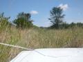 DSCN3619.jpg