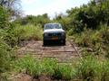 DSCN3620.jpg