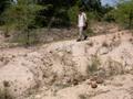 DSCN3638.jpg