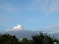 DSCN4002.jpg