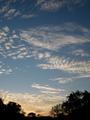 DSCN4007.jpg