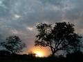 DSCN4035.jpg