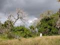 DSCN4081.jpg