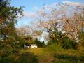 DSCN4094.jpg