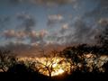 DSCN4102.jpg