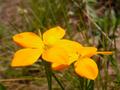 DSCN3631.jpg