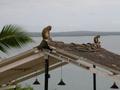 DSCN3399.jpg