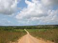 The coast road