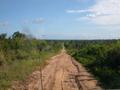 DSCN3419.jpg