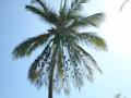 DSCN3417.jpg