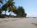 DSCN3641.jpg