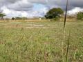 DSCN3674.jpg