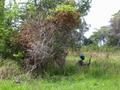 DSCN3719.jpg