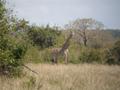 DSCN3677.jpg