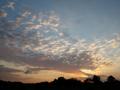 DSCN3732.jpg