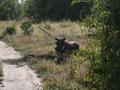 DSCN3756.jpg