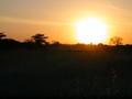 DSCN4189.jpg
