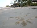 DSCN4219.jpg
