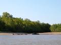 DSCN4226.jpg
