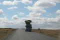 DSCN3920.jpg