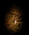 DSCN3539.jpg