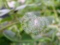 DSCN3491.jpg