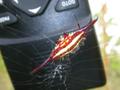 DSCN4078.jpg