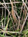 DSCN3593.jpg