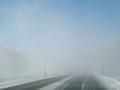 DSCN5590.jpg