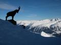DSCN5592.jpg
