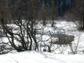DSCN6068.jpg