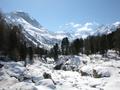 DSCN6074.jpg