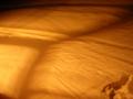 DSCN7835.jpg