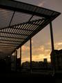DSCN5061.jpg