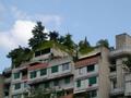 DSCN2581.jpg