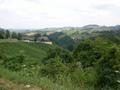 DSCN2596.jpg