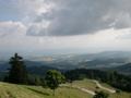 DSCN2613.jpg