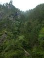 DSCN2659.jpg