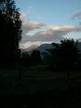 DSCN2712.jpg