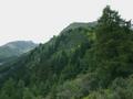 DSCN2733.jpg