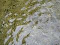 DSCN2772.jpg