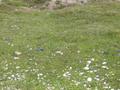 DSCN2823.jpg