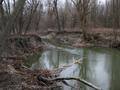 DSCN6031.jpg